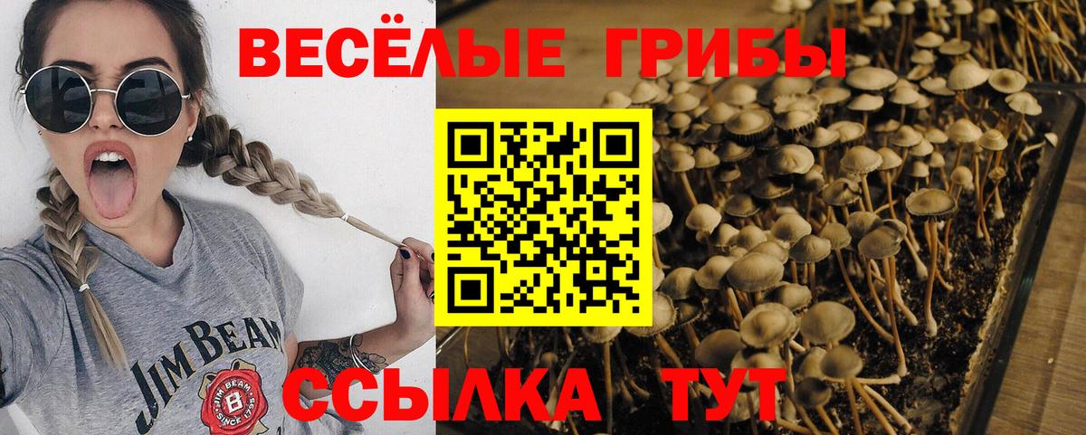 Псилоцибиновые грибы мицелий  Вход с VPN  Нефтеюганск  Псилоцибиновые грибы мицелий 