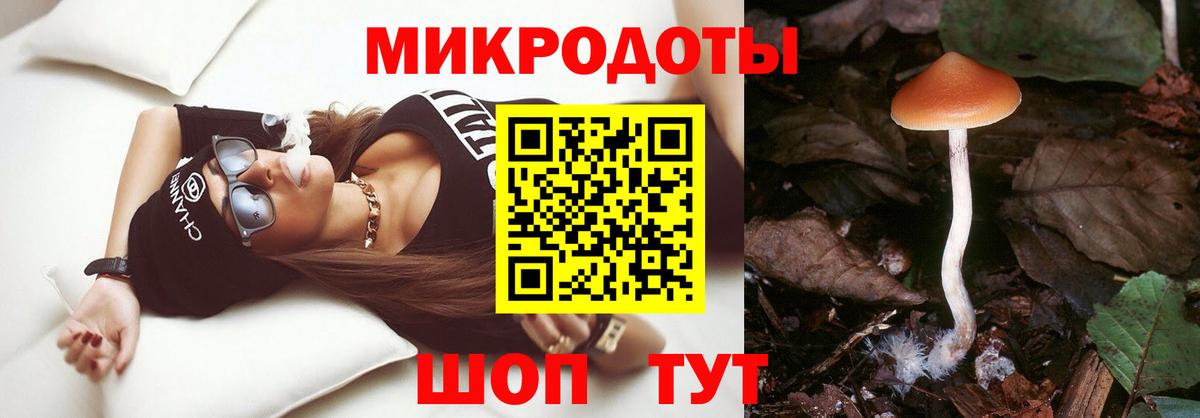 Псилоцибиновые грибы Psilocybe Нефтеюганск